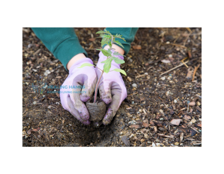 Gardening (1) Gardening (1)